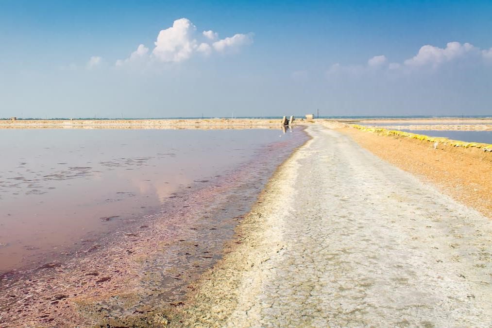 Near Sambhar lake