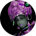 Ravi